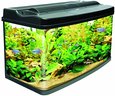 Pod Glass Aquarium Fish Tank